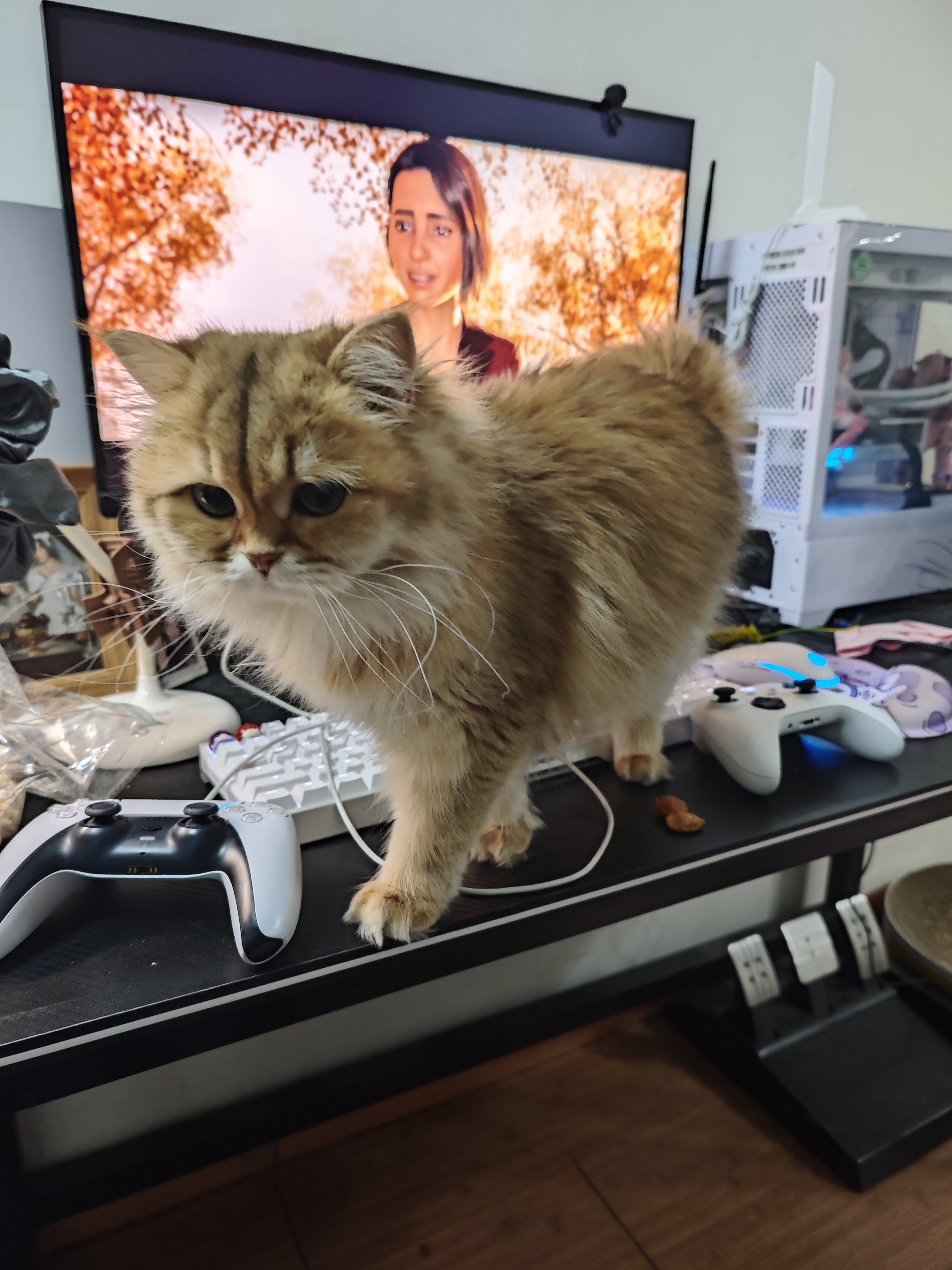 2025游戏复盘：失落的“电子乡愁”